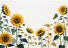 Abstract Serene Sunflowers Sketch with Minimalist Pastel Sky