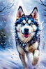 Abstract Siberian Husky Art Print with Piercing Icy Blue Eyes and Snow Patterns