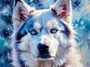 Abstract Siberian Husky Art Print with Piercing Icy Blue Eyes and Snow Patterns
