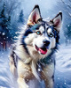 Abstract Siberian Husky Art Print with Piercing Icy Blue Eyes and Snow Patterns