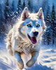 Abstract Siberian Husky Art Print with Piercing Icy Blue Eyes and Snow Patterns
