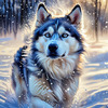 Abstract Siberian Husky Art Print with Piercing Icy Blue Eyes and Snow Patterns