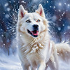 Abstract Siberian Husky Art Print with Piercing Icy Blue Eyes and Snow Patterns