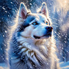 Abstract Siberian Husky Art Print with Piercing Icy Blue Eyes and Snow Patterns