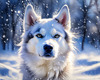 Abstract Siberian Husky Art Print with Piercing Icy Blue Eyes and Snow Patterns