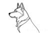 Minimalist Line Art of Siberian Husky Staring into Distance with Snow