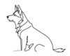 Minimalist Line Art of Siberian Husky Staring into Distance with Snow