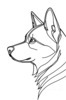 Minimalist Line Art of Siberian Husky Staring into Distance with Snow