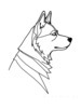 Minimalist Line Art of Siberian Husky Staring into Distance with Snow