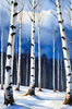 Silver Birch Forest with White Trunks Against Deep Blue Winter Sky Art Print