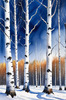 Silver Birch Forest with White Trunks Against Deep Blue Winter Sky Art Print