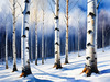 Silver Birch Forest with White Trunks Against Deep Blue Winter Sky Art Print