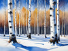 Silver Birch Forest with White Trunks Against Deep Blue Winter Sky Art Print