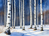 Silver Birch Forest with White Trunks Against Deep Blue Winter Sky Art Print
