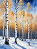 Silver Birch Forest with White Trunks Against Deep Blue Winter Sky Art Print