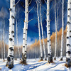 Silver Birch Forest with White Trunks Against Deep Blue Winter Sky Art Print