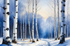 Silver Birch Forest with White Trunks Against Deep Blue Winter Sky Art Print