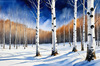 Silver Birch Forest with White Trunks Against Deep Blue Winter Sky Art Print