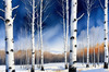Silver Birch Forest with White Trunks Against Deep Blue Winter Sky Art Print