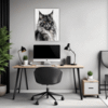 Smoke Black Maine Coon Office Demo