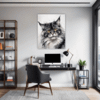 Smoke Black Maine Coon Office Demo