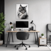 Smoke Black Maine Coon Office Demo