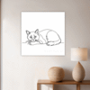 Soft Ragdoll Cat Hallway Demo
