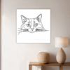 Soft Ragdoll Cat Hallway Demo