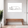 Soft Ragdoll Cat Hallway Demo