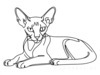 Minimalist Line Art of Sphynx Cat Lying Down