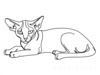 Minimalist Line Art of Sphynx Cat Lying Down