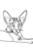 Minimalist Line Art of Sphynx Cat Lying Down
