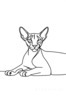 Minimalist Line Art of Sphynx Cat Lying Down