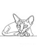 Minimalist Line Art of Sphynx Cat Lying Down