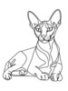 Minimalist Line Art of Sphynx Cat Lying Down