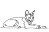 Minimalist Line Art of Sphynx Cat Lying Down