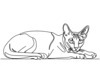 Minimalist Line Art of Sphynx Cat Lying Down