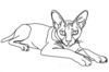 Minimalist Line Art of Sphynx Cat Lying Down