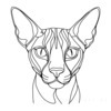 Minimalist Line Drawing of Sphynx Cat with Wrinkled Skin