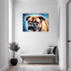 Stocky Bulldog Hallway Demo