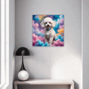 Stylish Poodle Hallway Demo