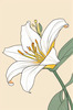 Minimalist Line Art of Lily's Outward-Facing Blossom