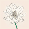 Minimalist Line Art of Lily's Outward-Facing Blossom