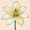 Minimalist Line Art of Lily's Outward-Facing Blossom