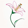 Minimalist Line Art of Lily's Outward-Facing Blossom