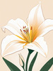 Minimalist Line Art of Lily's Outward-Facing Blossom