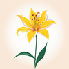 Minimalist Line Art of Lily's Outward-Facing Blossom