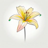 Minimalist Line Art of Lily's Outward-Facing Blossom