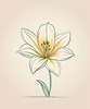 Minimalist Line Art of Lily's Outward-Facing Blossom