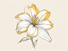 Minimalist Line Art of Lily's Outward-Facing Blossom